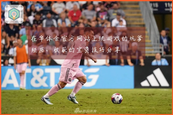 在华体会官方网站上玩游戏的坑爹经历，收获的宝贵技巧分享