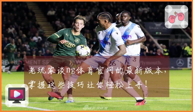 老玩家谈ng体育官网的最新版本，掌握这些技巧让你轻松上手！