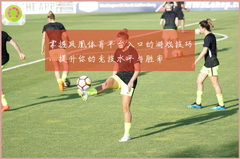 掌握凤凰体育平台入口的游戏技巧，提升你的竞技水平与胜率